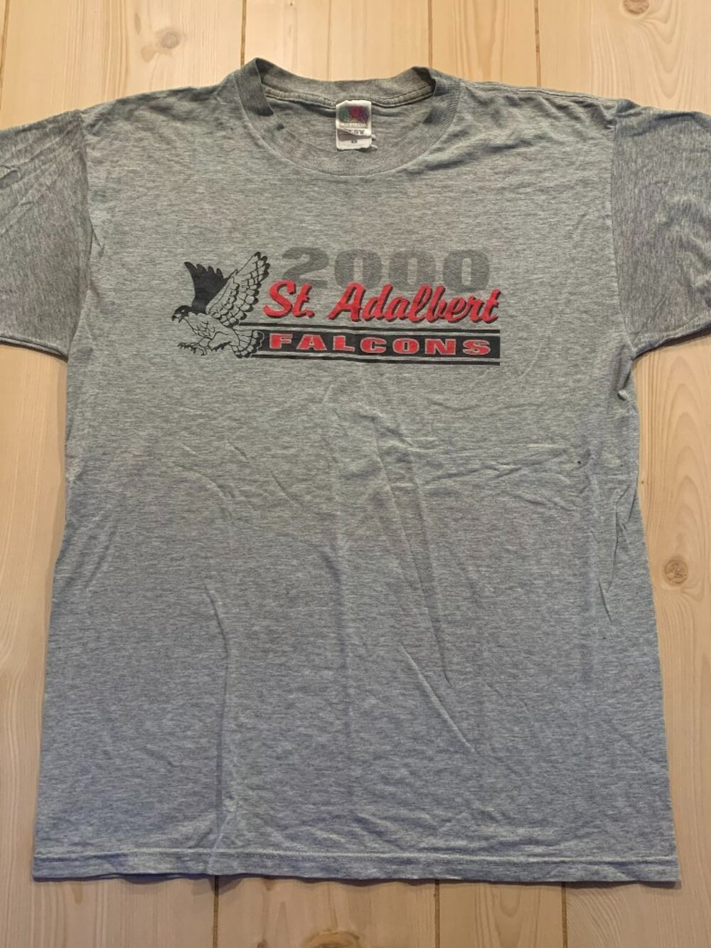 Vintage Y2K St. Adalbert Falcons 2000 Catholic School Sports Team T-Shirt Size L